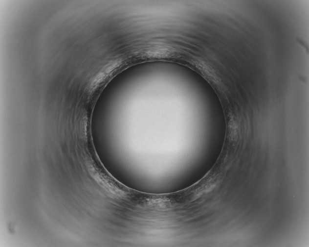 X0000101190446200807071318