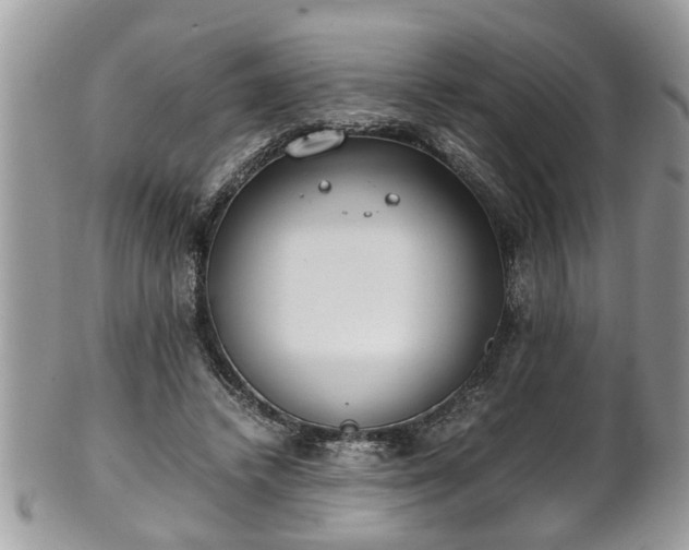 X0000101190448200807071318