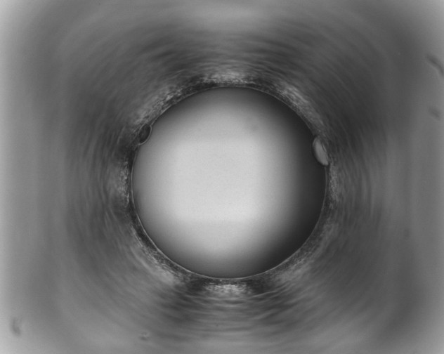 X0000101190449200807071318