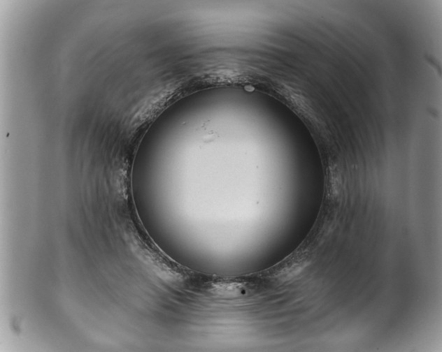 X0000101190450200807071318