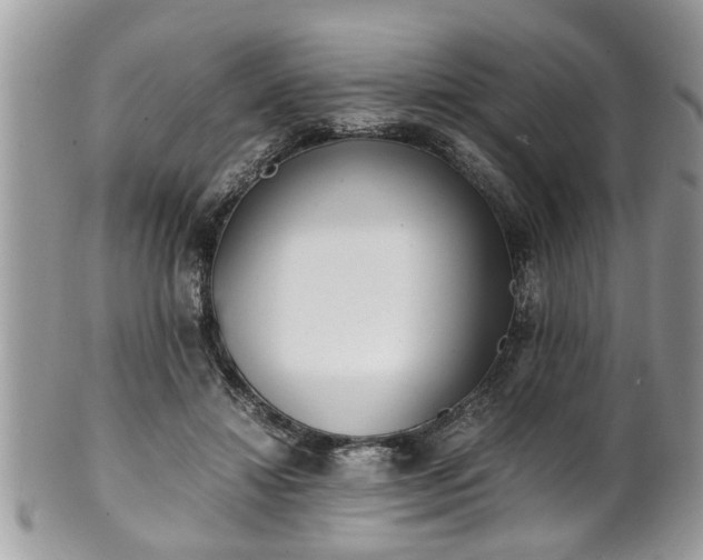 X0000101190452200807071319