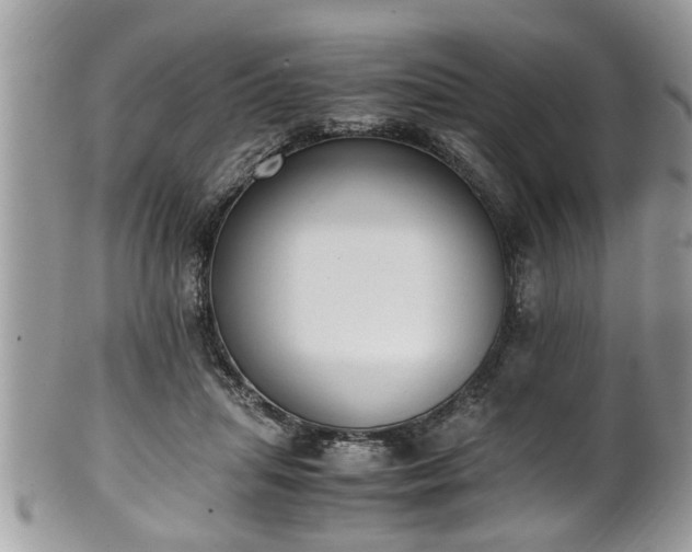 X0000101190455200807071319