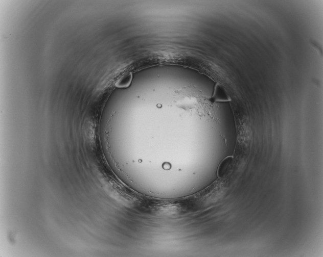 X0000101190456200807071319