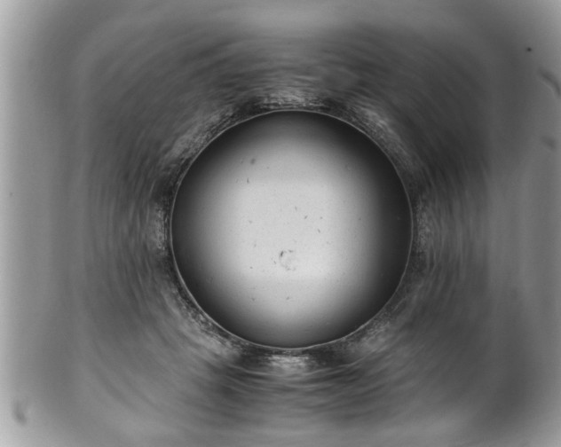 X0000101190457200807071319