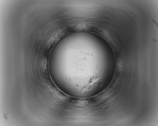 X0000101190458200807071319