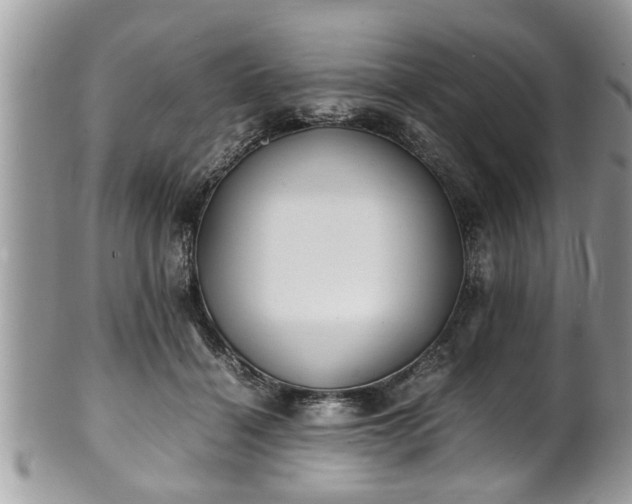 X0000101190460200807071319