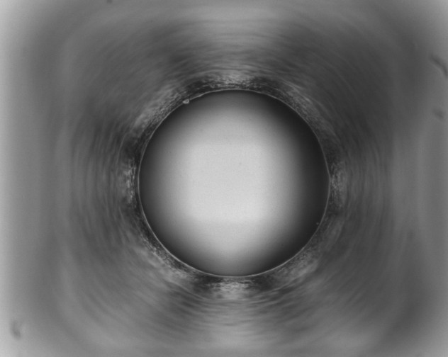X0000101190462200807071319