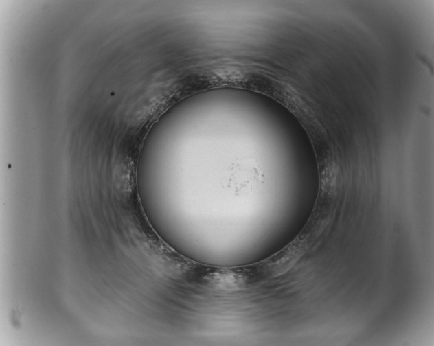 X0000101190464200807071319