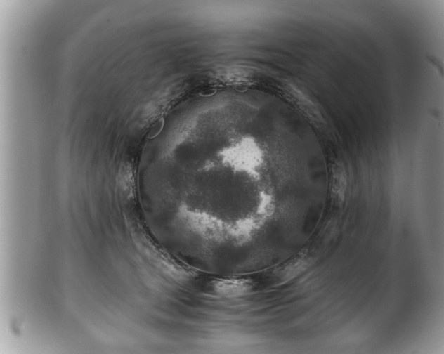 X0000101190465200807071319