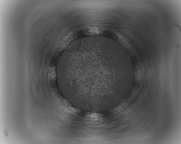 X0000101190467200807071319