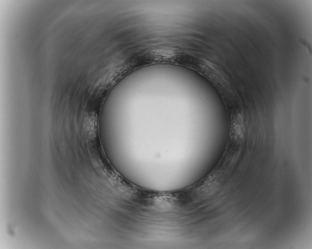 X0000101190468200807071319