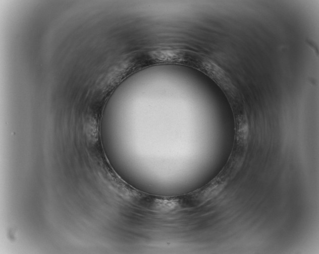 X0000101190469200807071319