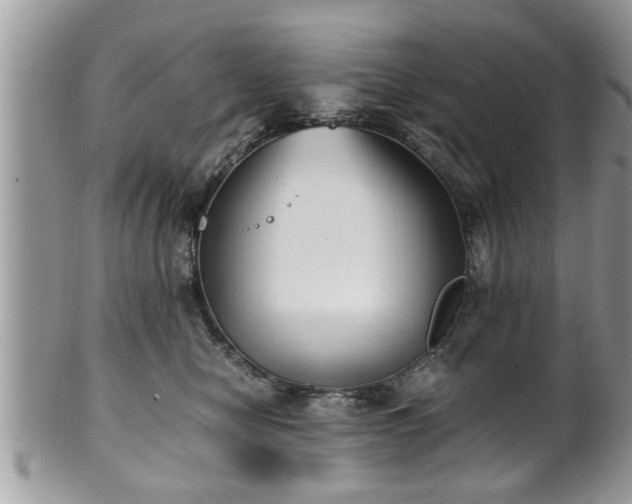 X0000101190470200807071319