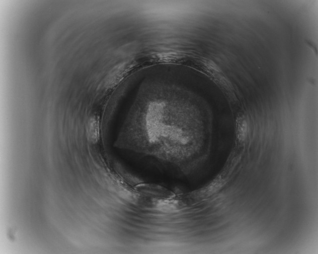 X0000101190471200807071319