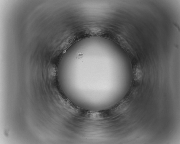 X0000101190472200807071319