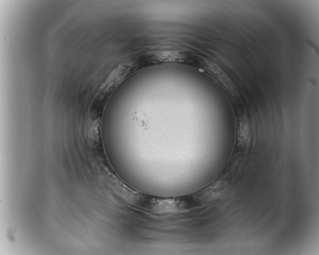X0000101190473200807071319