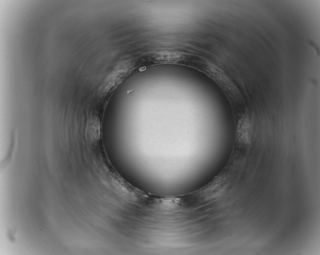 X0000101190474200807071319