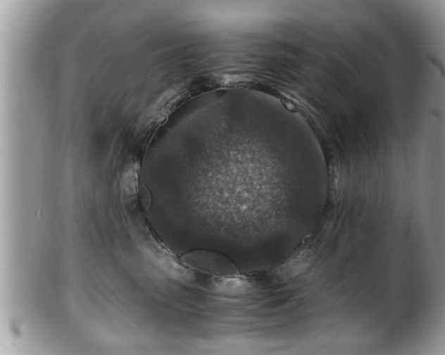 X0000101190475200807071319