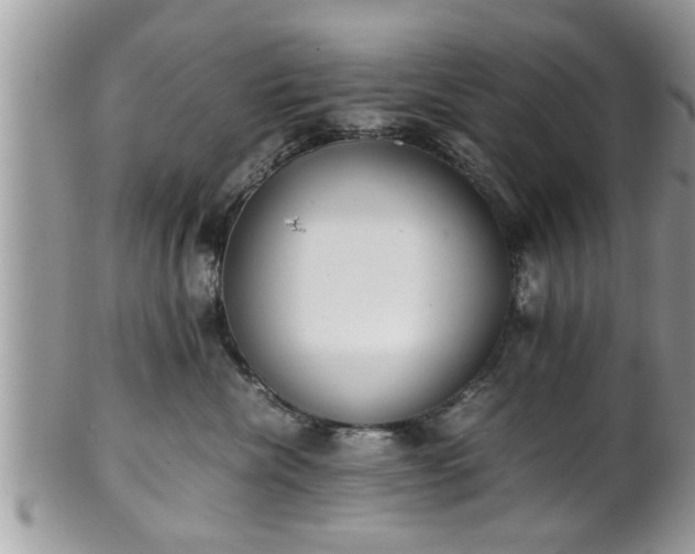 X0000101190476200807071319