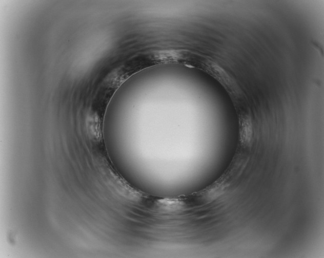 X0000101190477200807071319