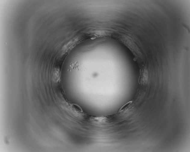 X0000101190478200807071319