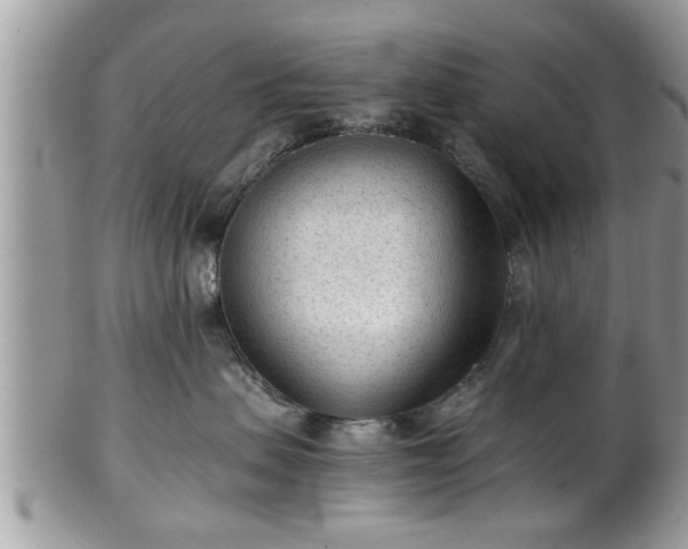 X0000101190479200807071319