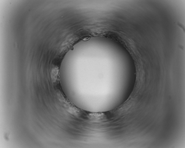 X0000101190480200807071319