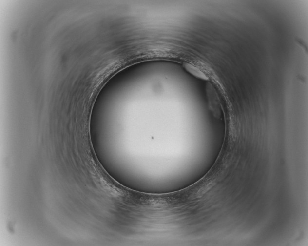 X0000101190481200807071318