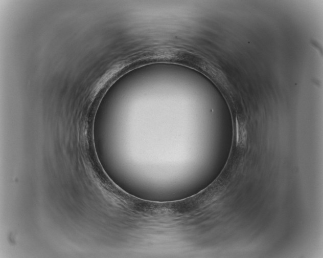 X0000101190483200807071318