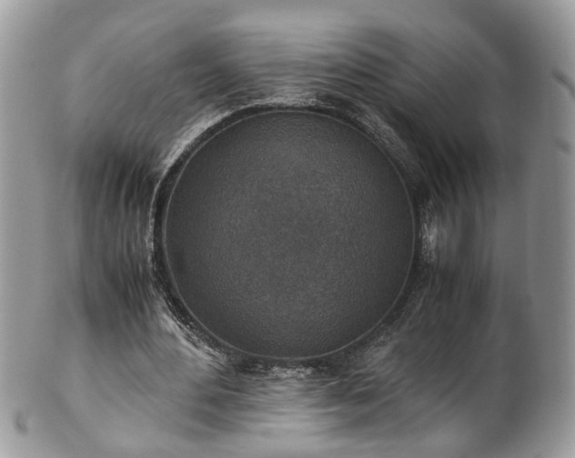 X0000101190484200807071318