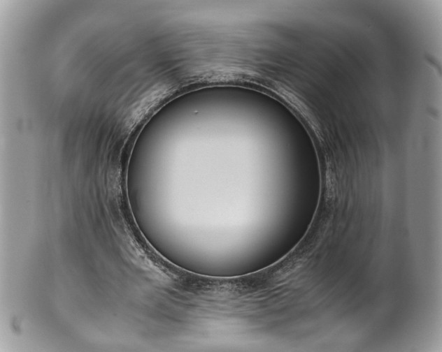 X0000101190485200807071318