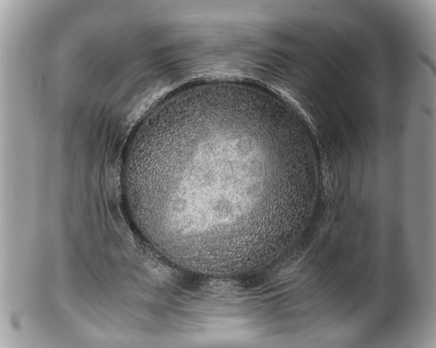 X0000101190487200807071318