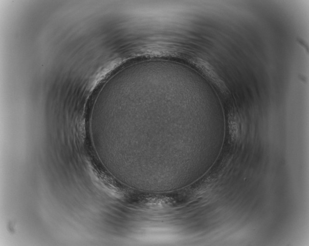 X0000101190488200807071318