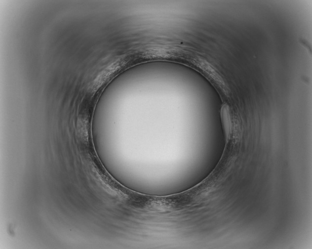 X0000101190489200807071318