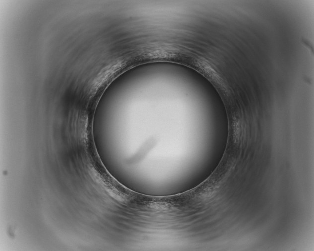 X0000101190490200807071318