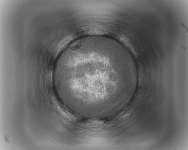 X0000101190491200807071318