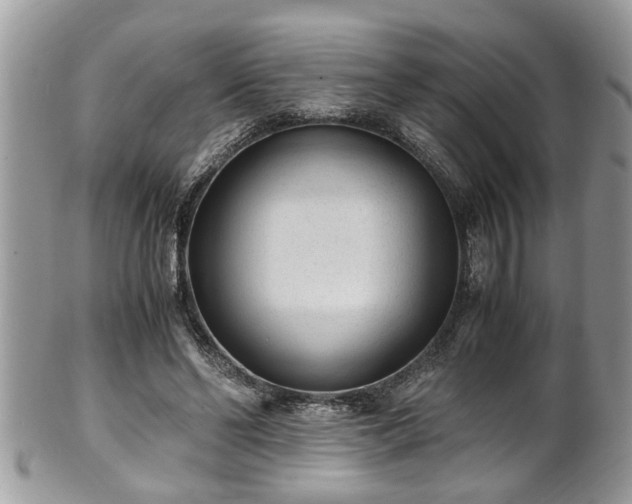 X0000101190494200807071318