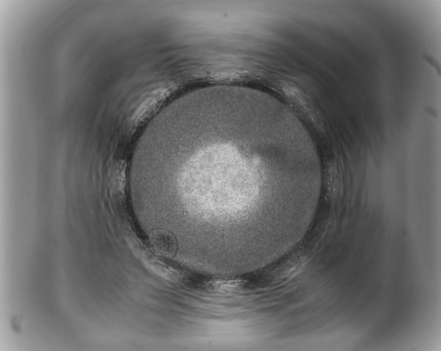 X0000101190495200807071318