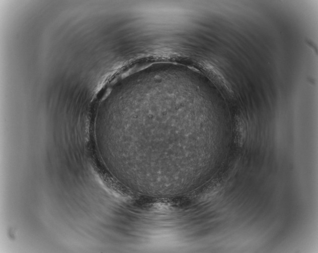 X0000101190496200807071318