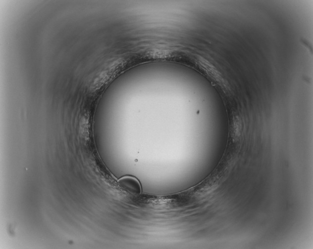 X0000101190497200807071318