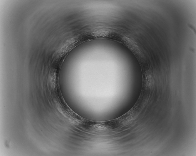 X0000101190498200807071318