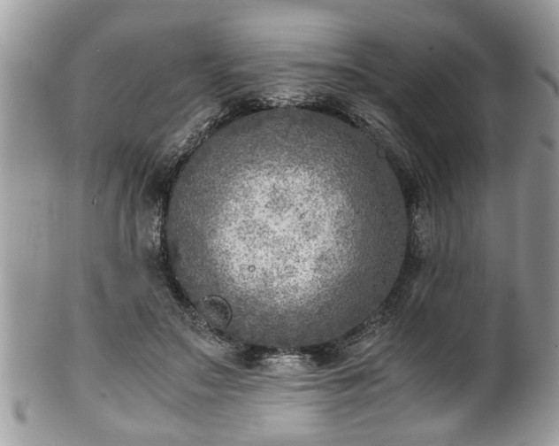 X0000101190499200807071318