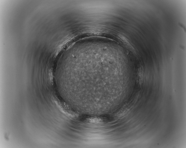 X0000101190500200807071318