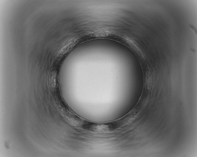 X0000101190501200807071318