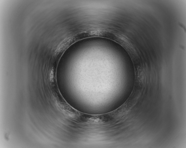 X0000101190502200807071318