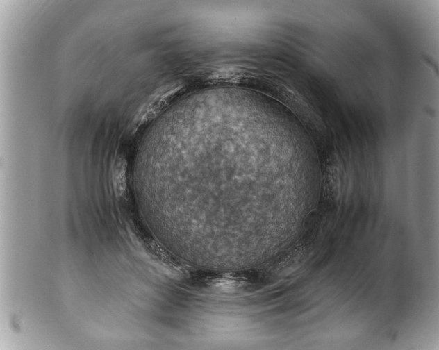 X0000101190504200807071318