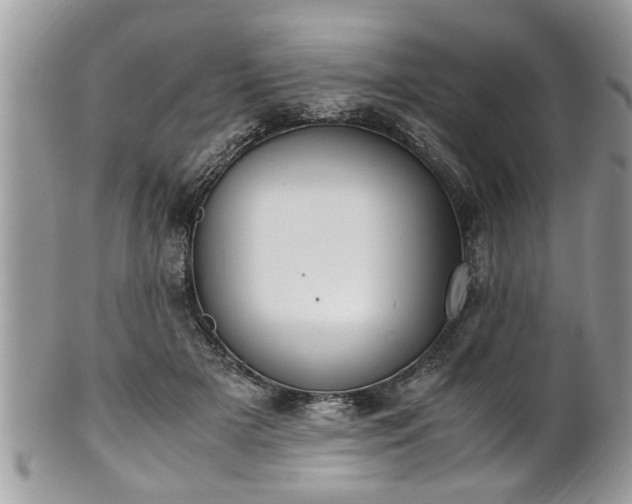 X0000101190505200807071318