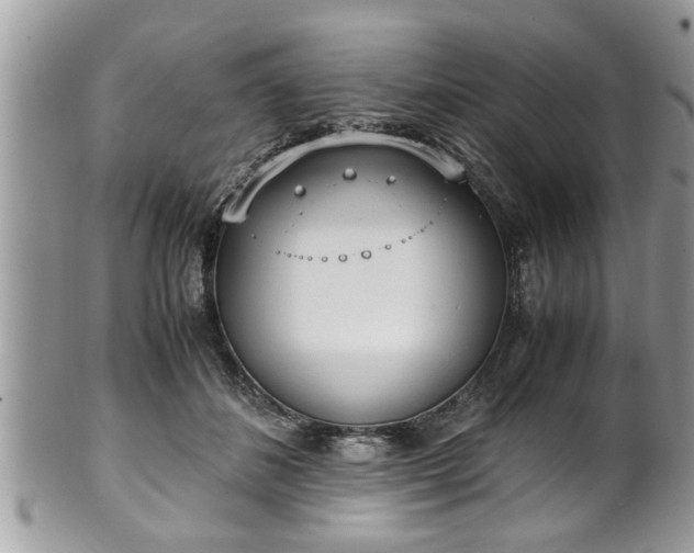 X0000101190508200807071318