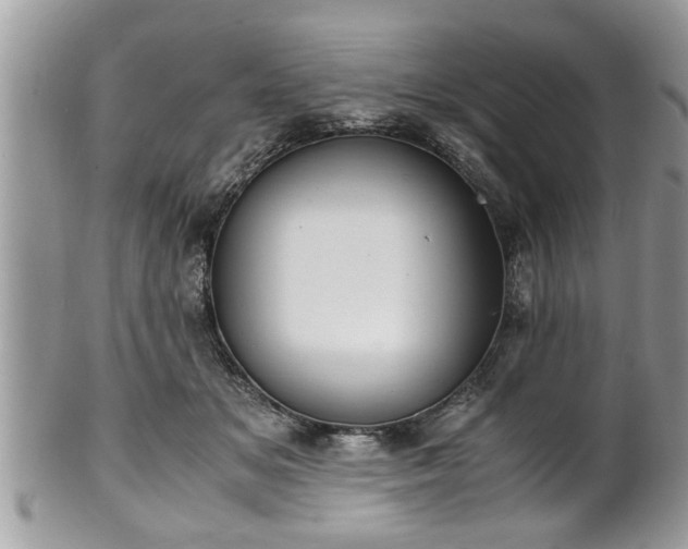 X0000101190509200807071318