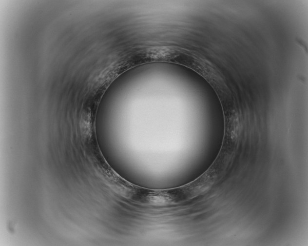 X0000101190510200807071318